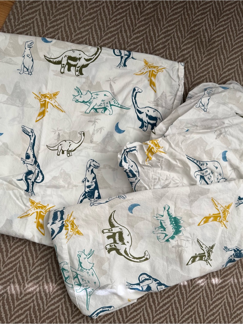 Pottery Barn Kids Twin Sheet Set with Blue, Green, Teal & Yellow Dinosaurs